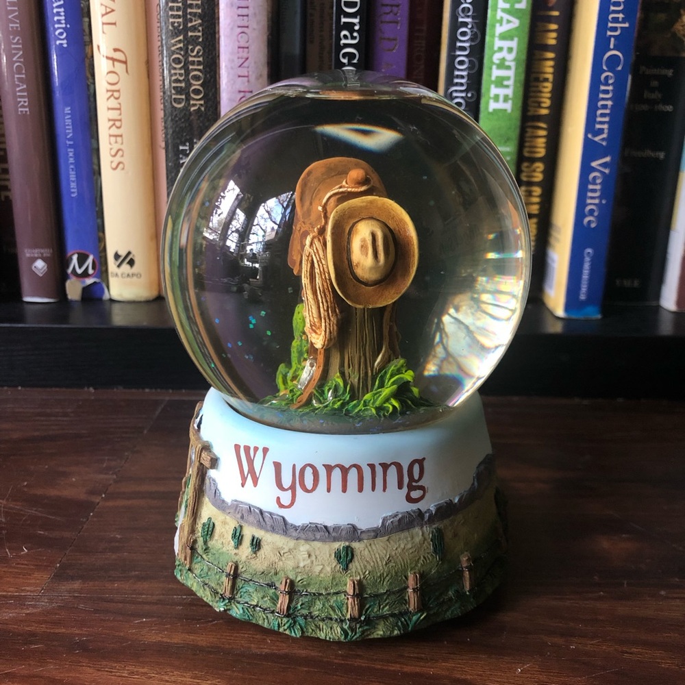 ☀San Francisco Music Box Company  W yoming Snow Globe - Picture 4 of 6